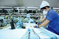 Chính phủ, các bộ, ngành và địa phương cần có các biện pháp cấp bách hỗ trợ DN trong sản xuất, kinh doanh để vượt qua giai đoạn khó khăn này. Ảnh: Lê Tiên