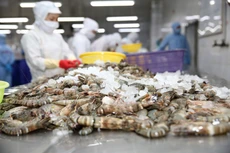 Đến năm 2030, công nghiệp chế biến nông lâm thủy sản Việt Nam đặt mục tiêu đứng trong số 10 nước hàng đầu thế giới. Ảnh: Lê Tiên