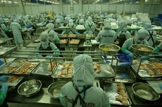 Thủy sản Thuận Phước phát hành cổ phiếu thưởng tỷ lệ 100%