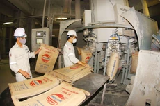 Các nhà thầu sản xuất, cung cấp vật liệu xây dựng có nhiều cơ hội khi triển khai các dự án cao tốc trên tuyến Bắc - Nam phía Đông. Ảnh: Khánh Giang
