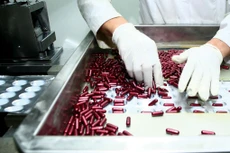 Báo cáo của Sở Y tế tỉnh Ninh Thuận khiến nhiều nhà thầu cung ứng thuốc bị ảnh hưởng. Ảnh: Lê Tiên