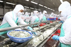 Nhiều doanh nghiệp đang gặp khó khăn cả đầu vào và đầu ra của hoạt động sản xuất kinh doanh. Ảnh: Lê Tiên