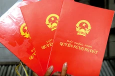 Vướng mắc nhiều thủ tục pháp lý, đến nay, Công ty TNHH Lê Hoàng vẫn chưa được cấp Giấy chứng nhận quyền sử dụng đất của lô đất 4.613 m2 tại số 141, đường Bình Giã, Phường 8, tỉnh Bà Rịa - Vũng Tàu. Ảnh: st