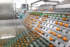 Nhiều doanh nghiệp đặt mục tiêu kinh doanh lạc quan trong năm 2020