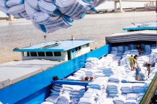 “Tân binh” lần đầu tham gia các gói thầu gạo dự trữ tại TP.HCM - Công ty TNHH Kim Hằng đã trúng tổng cộng 4 trong số 7 gói thầu. Ảnh: Minh Hoa