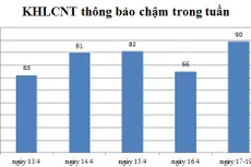 Ngày 17-19/4: Có 90 thông báo kế hoạch lựa chọn nhà thầu chậm