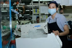 Các chuyên gia cảnh báo, kinh tế Việt Nam sẽ phải đối mặt với nhiều thách thức để duy trì tốc độ tăng trưởng cao đã đạt được trong 2 năm qua. Ảnh: Nhã Chi