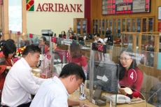 Nhiều năm qua, Agribank chưa được Nhà nước đầu tư bổ sung vốn điều lệ, tỷ lệ an toàn vốn bị suy giảm. Ảnh: Lê Tiên
