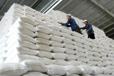 Có nhiều nhà thầu không cung cấp bảo lãnh dự thầu khi tham dự các gói thầu mua gạo dự trữ do Cục Dự trữ nhà nước khu vực TP.HCM mời thầu lại. Ảnh: Tường Lâm