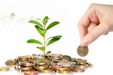 Rạng Đông Holding dự kiến chia cổ tức tỷ lệ 10%