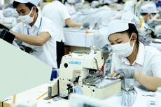 Việt Nam có đủ năng lực để trở thành một quốc gia sản xuất khẩu trang vải lớn trên thế giới. Ảnh: Lê Tiên