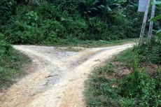 Lạng Sơn: Chọn xong nhà thầu xây dựng đường Hoa Thám - Quý Hoà - Vĩnh Yên