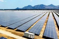 Vietracimex đầu tư rất lớn trong lĩnh vực năng lượng tái tạo. Ảnh: Trung Thành