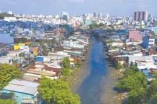 Ảnh minh họa. Nguồn Internet