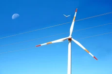 Ninh Thuận phấn đấu trở thành tỉnh sản xuất năng lượng tái tạo lớn của cả nước. Ảnh Lê Tiên