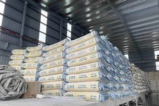 Gói thầu: Cung cấp xi măng thực hiện Chương trình bê tông hóa giao thông nông thôn và kiên cố hóa kênh mương năm 2024 trên địa bàn tỉnh Bình Định