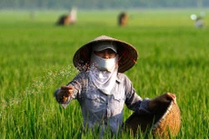 Gói thầu số 02: Cung cấp phân bón 