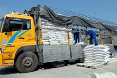 Trao đổi nghiệp vụ ngày 29/10/2024: Hợp đồng tương tự, giấy phép bán hàng, giấy xác nhận