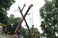 Trao đổi nghiệp vụ ngày 27/11/2024: Khu biệt hoá