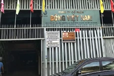 Năm 2018, Bông Việt Nam ghi nhận lợi nhuận sau thuế gần 2 tỷ đồng, giảm 55% so với năm 2017