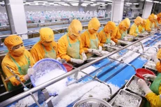 Phát triển khu vực tư nhân mạnh mẽ hơn chính là động lực quan trọng cho tăng trưởng trong thời gian tới. Ảnh: Lê Tiên