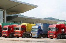 10 tháng năm 2019, Việt Nam nhập khẩu lượng hàng hóa trị giá 62 tỷ USD từ Trung Quốc, tăng 16,1% so với cùng kỳ năm 2018. Ảnh: Lê Tiên