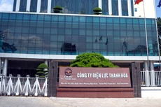 Theo đại diện Công ty Điện lực Thanh Hóa, số lượng nhà thầu tham gia ít có thể do quy mô của các gói thầu nhỏ, kém hấp dẫn. Ảnh: Nguyễn Hoạt