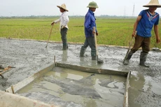 Một số gói thầu cải tạo, nâng cấp đường giao thông nông thôn mà Tân Thành Đạt trúng thầu có giá trúng thầu giảm chưa đến 1 triệu đồng so với giá gói thầu. Ảnh minh họa: Nhã Chi