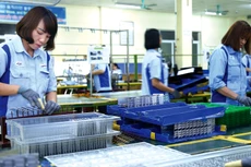 Lĩnh vực công nghiệp chế biến, chế tạo thu hút được 24,56 tỷ USD vốn đầu tư nước ngoài trong năm 2019. Ảnh: Tiên Giang