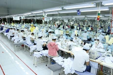 Lao động là lĩnh vực đang có nhiều điều kiện kinh doanh, kiểm tra chuyên ngành gây khó khăn cho doanh nghiệp. Ảnh: Lê Tiên