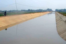 Công ty TNHH Vĩnh Lộc từng được công bố trúng 13 gói thầu do Ban Quản lý dự án đầu tư xây dựng các công trình nông nghiệp và phát triển nông thôn Vĩnh Long mời thầu. Ảnh minh họa: NC st