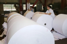 Năm 2018, Công ty CP Tập đoàn Tân Mai lỗ gần 12 tỷ đồng. Ảnh: Nhã Chi