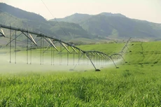 Nông nghiệp thông minh 5.0: Tầm nhìn từ những “đầu tàu”