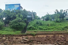 Ảnh chỉ mang tính minh họa. Nguồn Internet