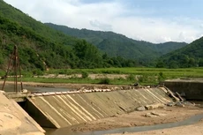 Ảnh chỉ mang tính minh họa. Nguồn Internet