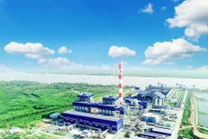 Ảnh chỉ mang tính minh họa. Nguồn Internet