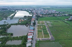 Một khu đất đấu giá tại huyện Thanh Oai (Hà Nội). Ảnh minh họa