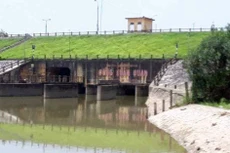 Ảnh chỉ mang tính minh họa. Nguồn Internet