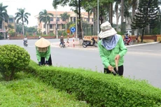 Ảnh chỉ mang tính minh họa. Nguồn Internet