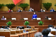 Thống đốc Ngân hàng Nhà nước Việt Nam Nguyễn Thị Hồng trả lời chất vấn.