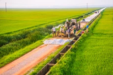 Ảnh chỉ mang tính minh họa. Nguồn Internet