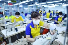 Ảnh chỉ mang tính minh họa. Nguồn Internet