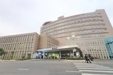 Ảnh chỉ mang tính minh họa. Nguồn Internet