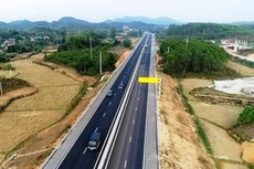 Ảnh chỉ mang tính minh họa. Nguồn Internet