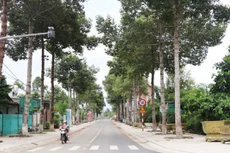 Ảnh chỉ mang tính minh họa. Nguồn Internet