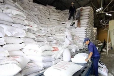 Xuất cấp gạo từ nguồn dự trữ quốc gia cho tỉnh Gia Lai dịp Tết Nguyên đán Ất Tỵ - Ảnh minh họa