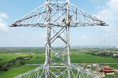Thi công đường dây 500kV mạch 3
