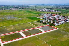 Khu vực đất (khoanh đỏ) ở xã Quỳnh Hưng vừa được đưa ra đấu giá lại.