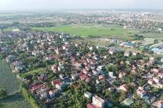 Ảnh chỉ mang tính minh họa. Nguồn Internet