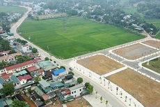 Ảnh chỉ mang tính minh họa. Nguồn Internet